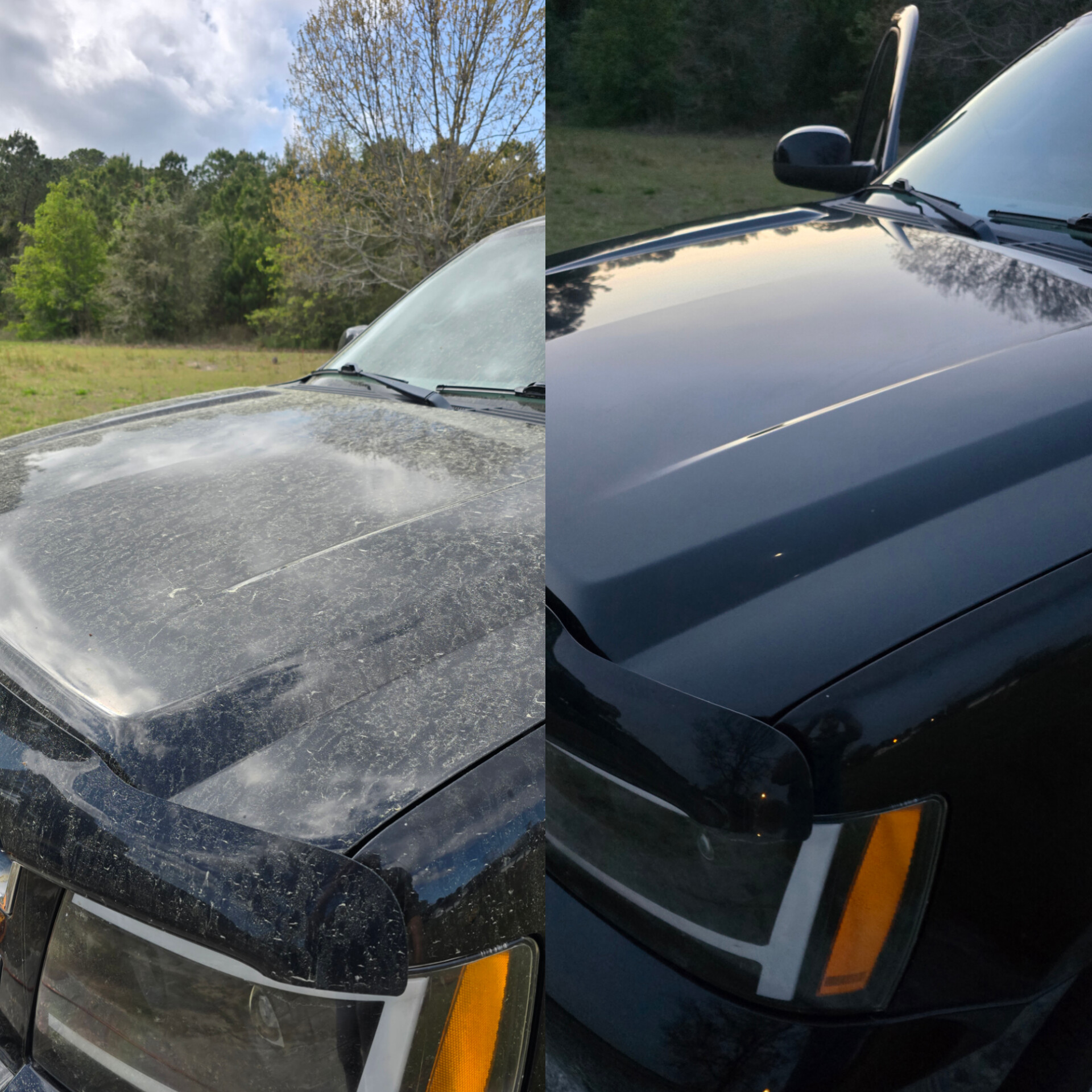 Paint Correction